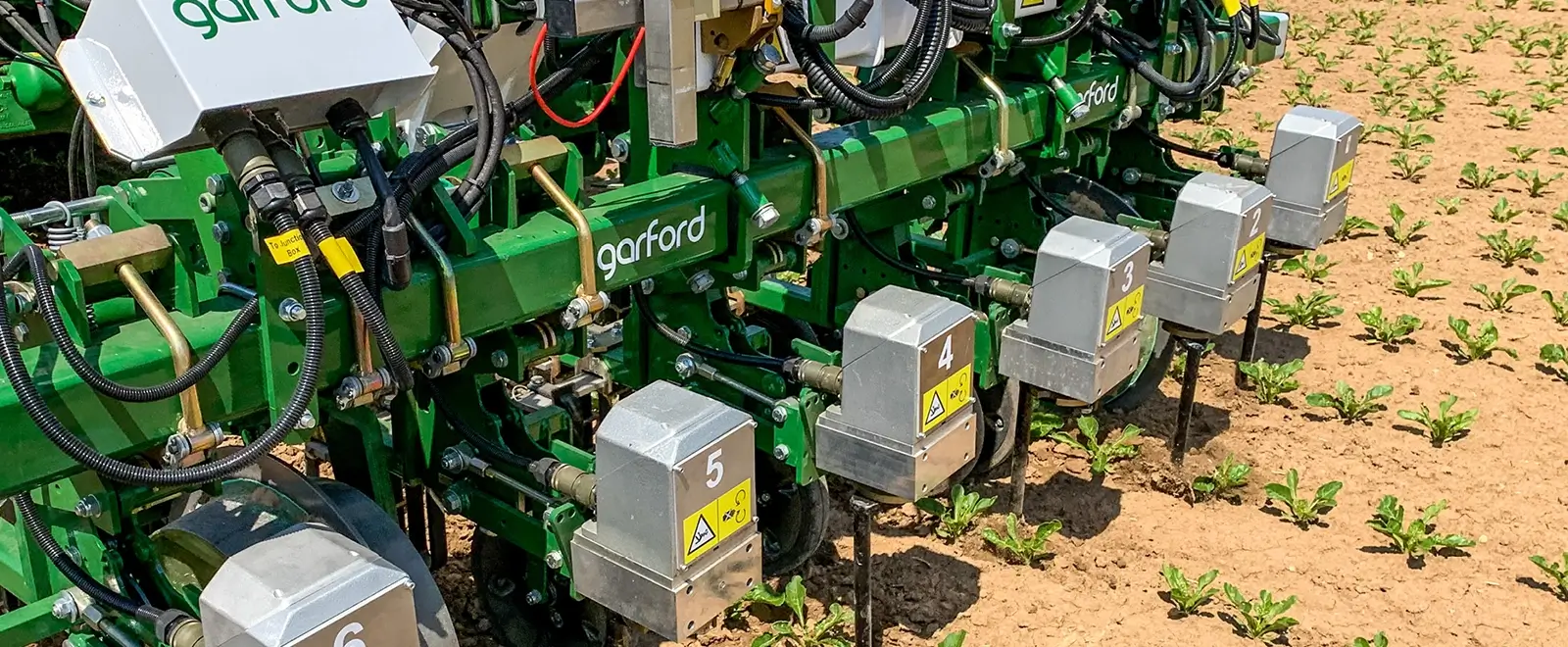 Garford Inrow Hackgerät auf dem Acker mit Jungpflanzen