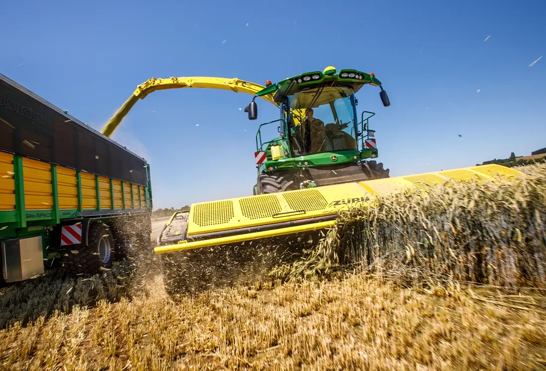 Profi Cut Direktschneidwerk auf dem Rapsfeld