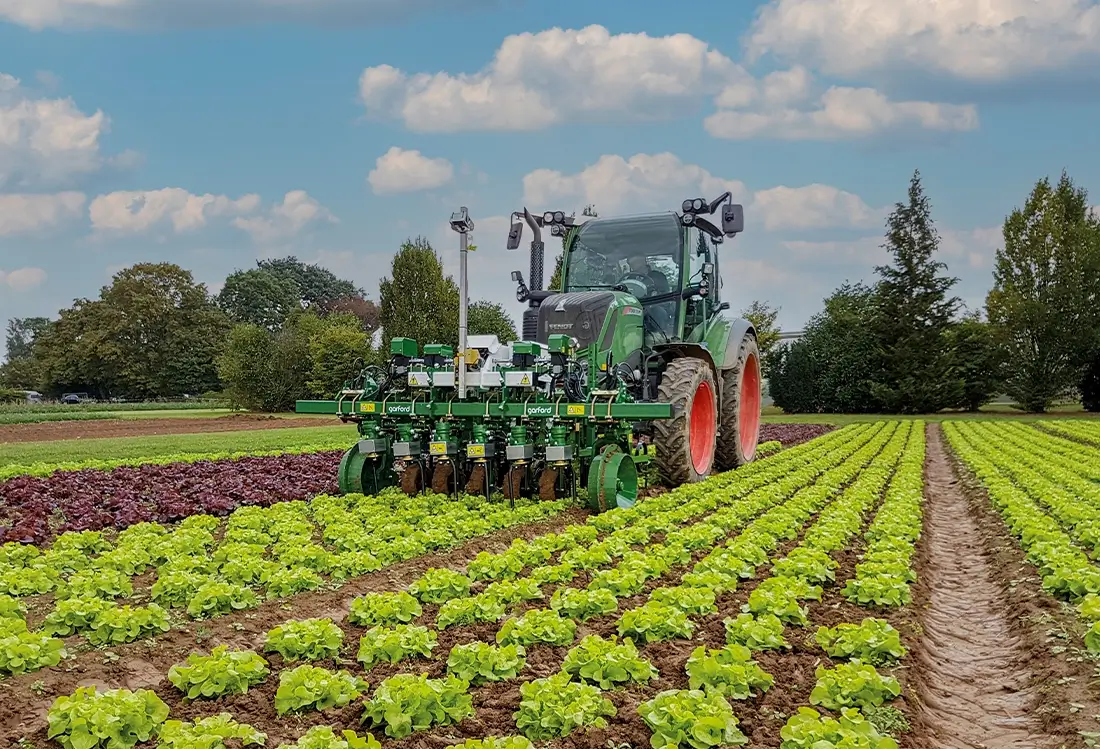 Garford Hacktechnik auf dem Salatfeld