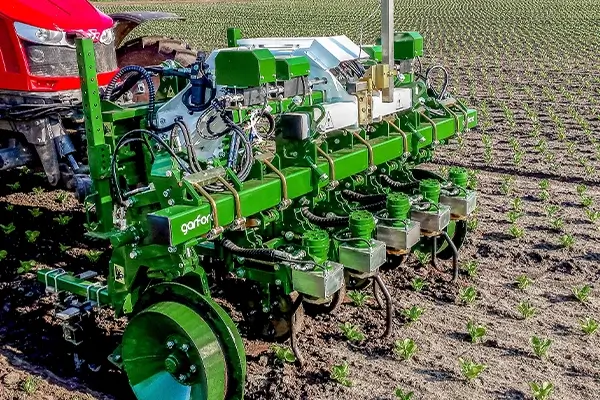 Garford Gerät auf dem Feld bei jungen Salatpflanzen